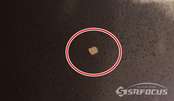 A씨가 롯데리아 감자튀김에서 나왔다고 주장하는 '돌' (사진 / 시사포커스DB)