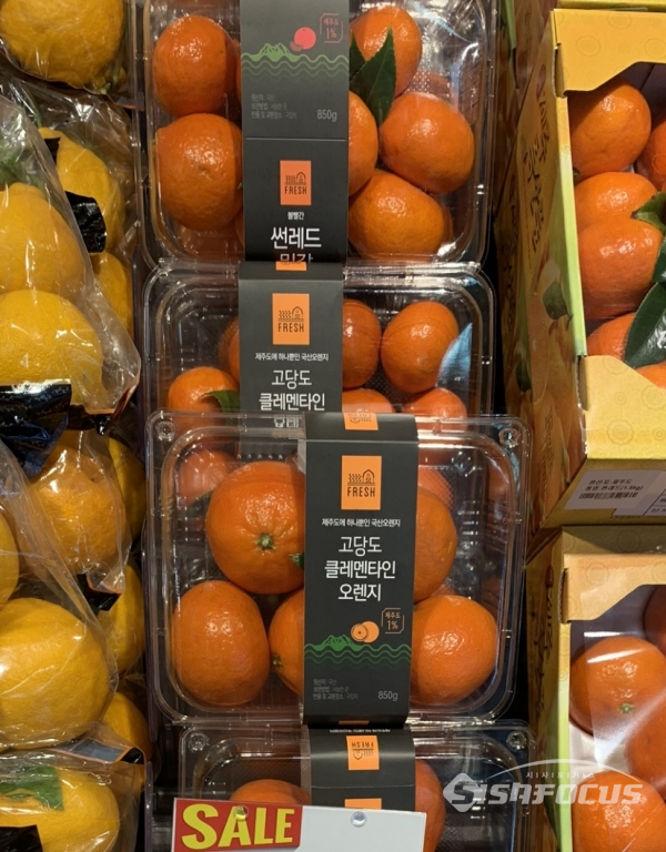 GS슈퍼마켓 진열대에 썬레드밀감, 고당도 클레멘타인 오렌지로 이름을 달리해 판매 중인 제주산 미하야밀감.사진/문미선 기자
