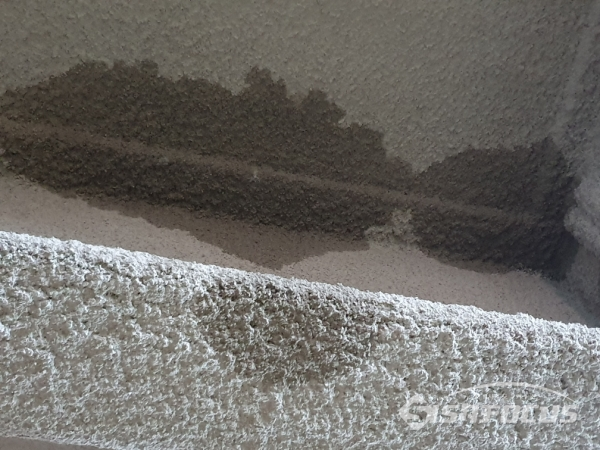 복컴 누수현장  사진 / 이현승 기자