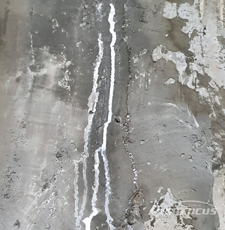 세종시 보건소 신청사 지하 1층 누수 현장 사진 / 이현승 기자