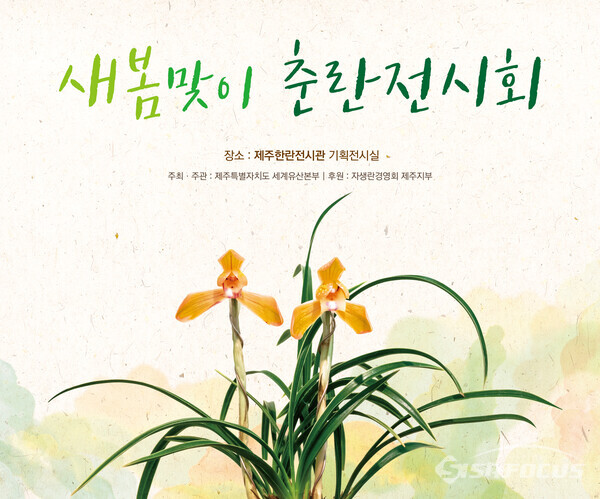 세계유산본부는 명품 춘란를 3월 5일부터 6일까지  한란전시관(서귀포시 상효동 소재)에서 기획 전시한다.사진/제주특별자치도