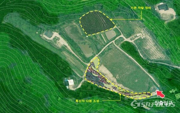 경주 기림사 인근의 신라차 다원 복원을 위한 특산차 부지 사진. 사진/경주시