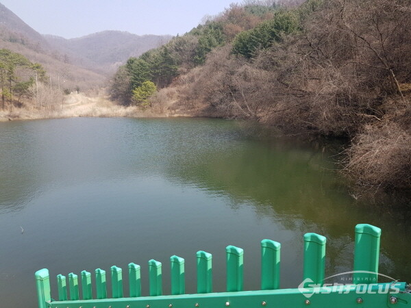 법원읍 법원리 초리골 농업용저수지 물빼기전 모습 (사진/이윤택 기자)