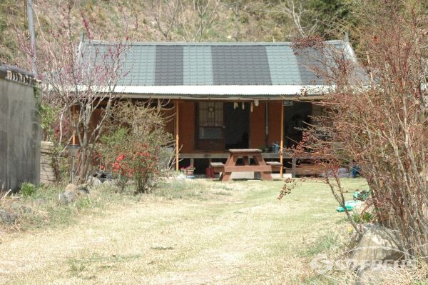 경주시 암곡동의 한 시골집 마당에도 봄의 기운이 느껴진다. 사진/김대섭 기자