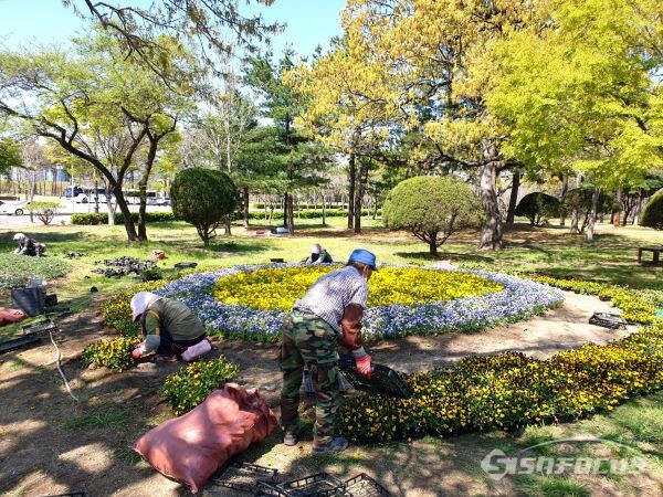 경주시가 관광지 주변과 도로 곳곳에 봄꽃을 식재 하는 모습. 사진/경주시