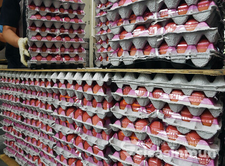 정부가 소비자 물가에 영향을 미치는 농축산물, 원예작물 등 수급 대책 등을 논의했고 회의기구 주재도 국장급에서 실장급이 진행하는 것으로 격상시켰다. ⓒ시사신문 DB