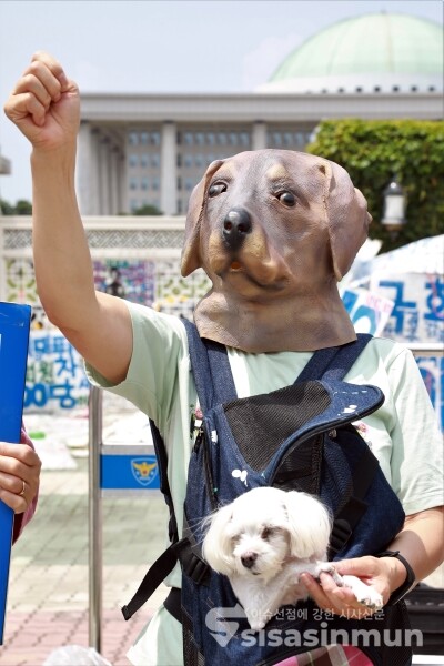 한국동물보호연합·개도살금지연대 관계자들이 기자회견을 하고 있다. [사진 / 오훈 기자]