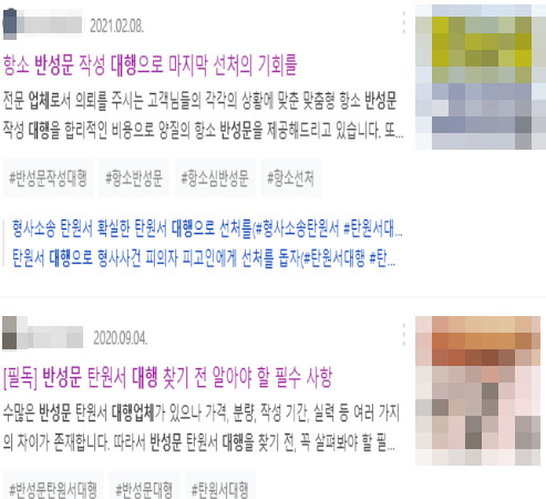 반성문 대필업체 홍보자료 / ⓒ박성준 의원실