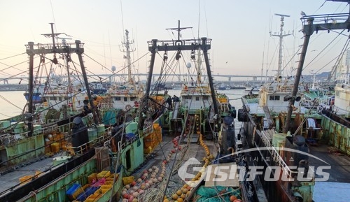 사진은 기사내용과 직접적인 관련 없는 자료화면 / ⓒ시사포커스DB