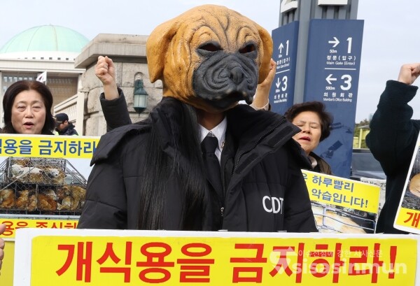 13일 한국동물보호연합, 1500만반려인연대, 캣치독 회원들이 기자회견을 하고 있다.
