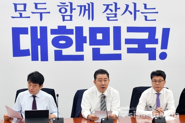 17일 김병기 당대표 직무대행 겸 원내대표가 발언을 하고 있다.