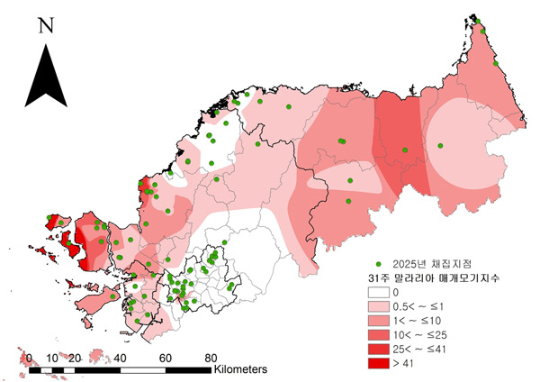 2025년 말라리아 매개모기 감시지점 및 결과 ⓒ질병관리청