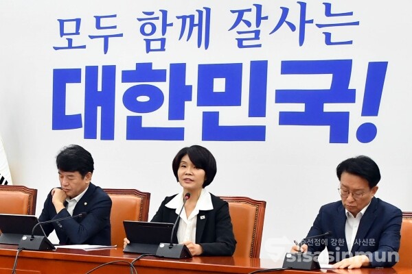 28일 한정애 정책위의장이 발언을 하고 있다.