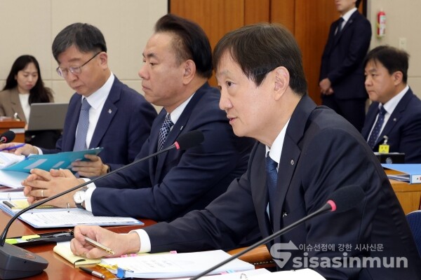 21일 이찬진 금융감독원장이 의원의 질의에 답하고 있다.