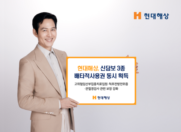 현대해상이 3가지 담보에 대해 배타적사용권을 동시에 획득했다. ⓒ현대해상